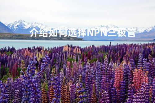 介绍如何选择NPN三极管
