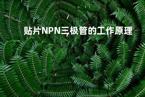 贴片NPN三极管的工作原理
