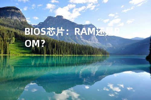 BIOS芯片：RAM还是ROM？