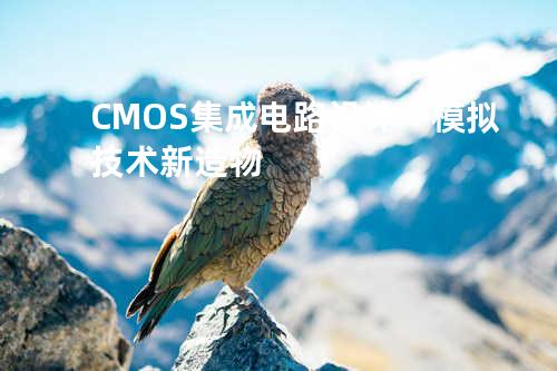 CMOS集成电路设计—模拟技术新造物