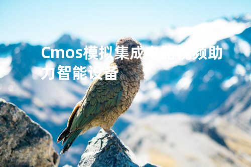 Cmos模拟集成电路视频助力智能设备