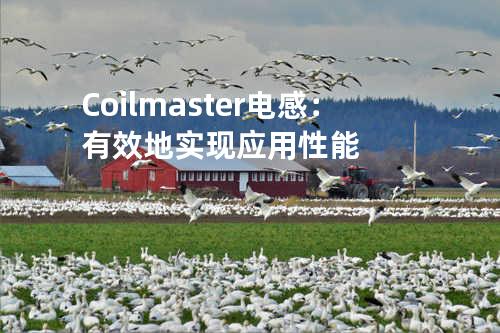 Coilmaster电感：有效地实现应用性能