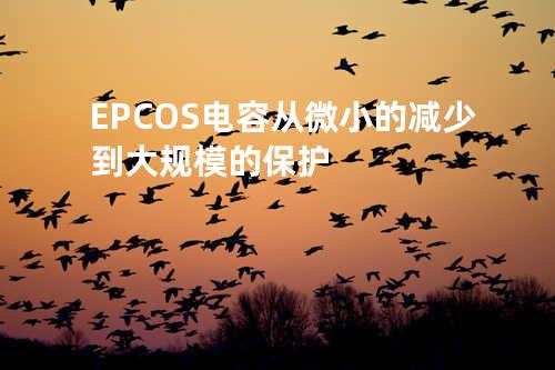 EPCOS电容 从微小的减少到大规模的保护