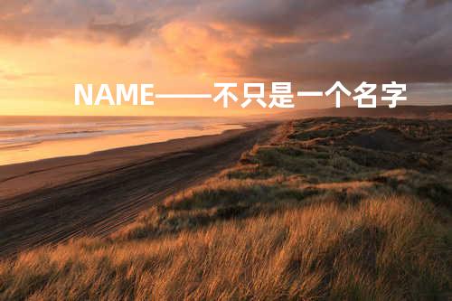 #NAME?——不只是一个名字