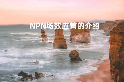 NPN场效应管的介绍