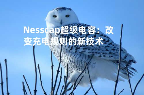 Nesscap超级电容：改变充电规则的新技术