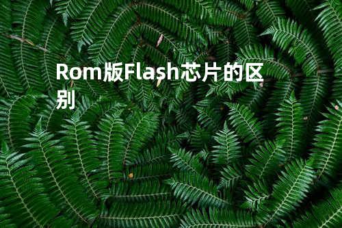 Rom版 Flash芯片的区别