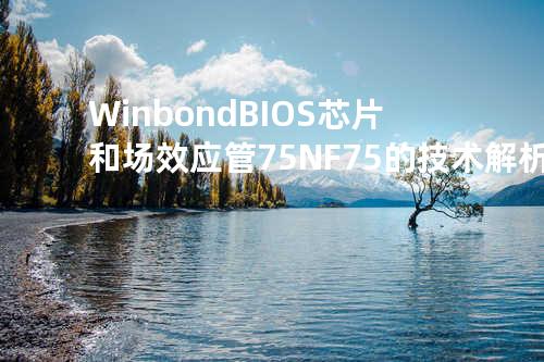 Winbond BIOS 芯片和场效应管 75NF75 的技术解析