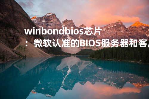 winbond bios 芯片：微软认准的BIOS服务器和客户端解决方案