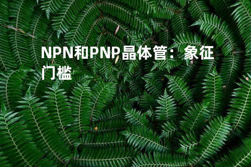 NPN和PNP晶体管：象征门槛