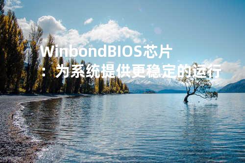 Winbond BIOS 芯片：为系统提供更稳定的运行